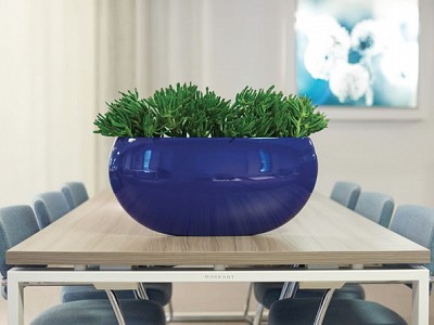 Alkmaar high shine night blue