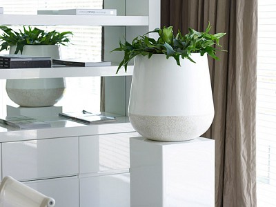 Bordo Planter White