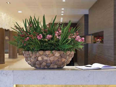 Bosco Oval Small Coconut