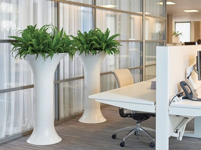 Chapeau Spain matt white