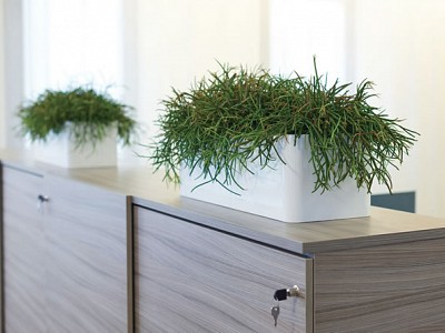 Multivorm Rectangular - Basic rechteck high shine white