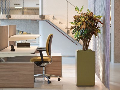 Prestige Plus structure yellow grey