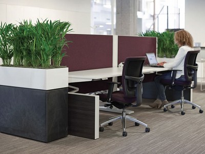 Prestige Rectangular combi rohling & high shine white