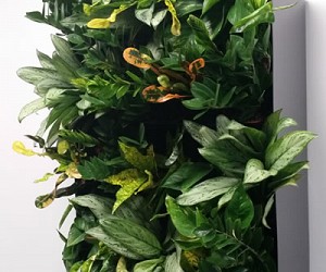 Living_wall01