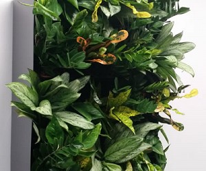 Living_wall03